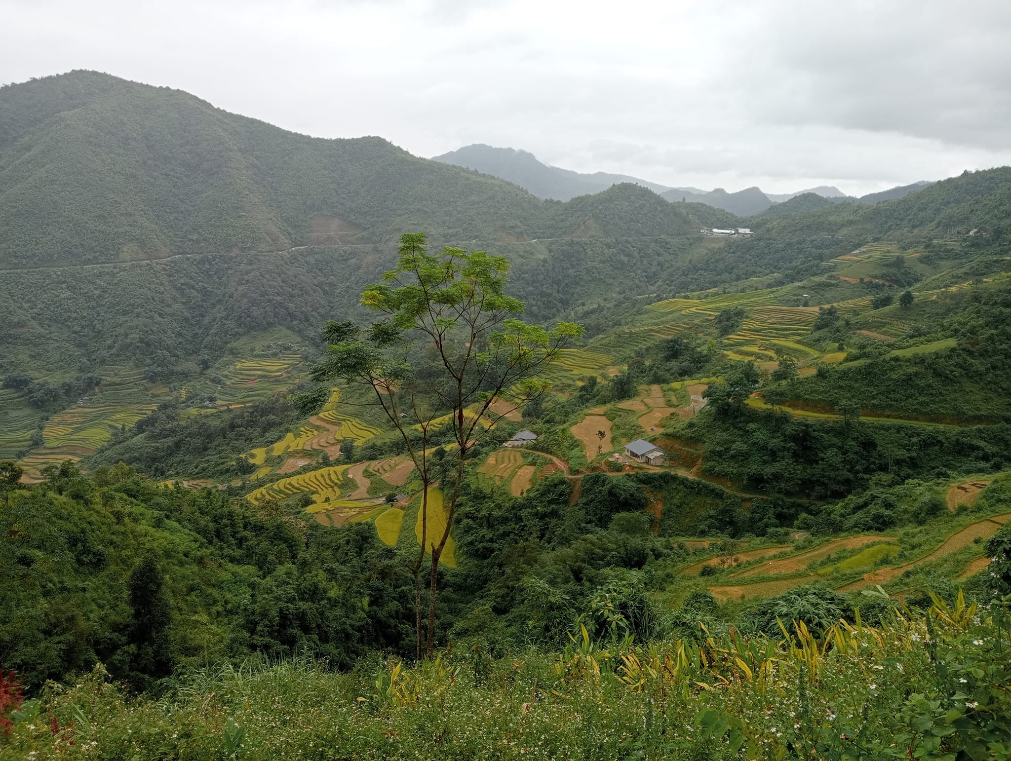 Ha Giang Bicycle Trip from Hanoi 3 Days